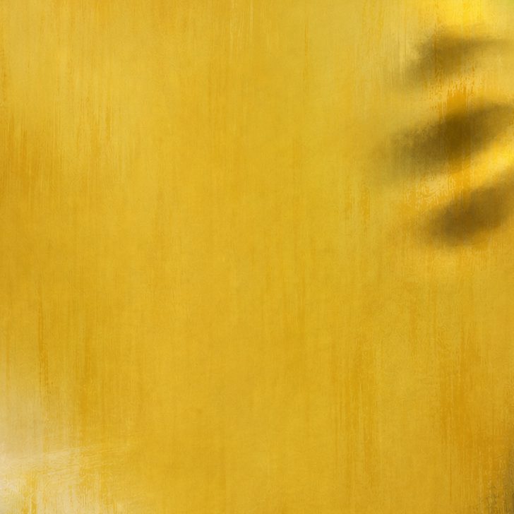 Macro detail of brushwork and pigment